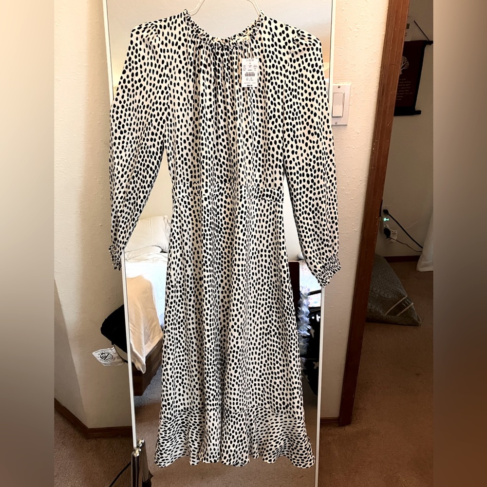 JCREW NWT long sleeve dress size 8